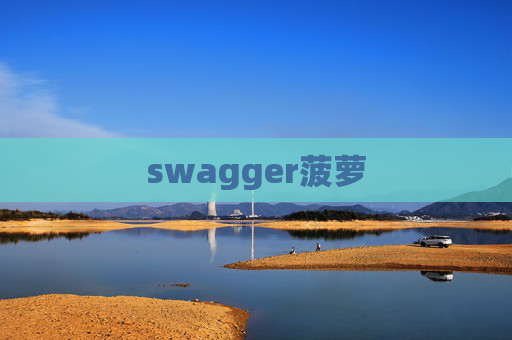 swagger菠萝 swagger菠萝